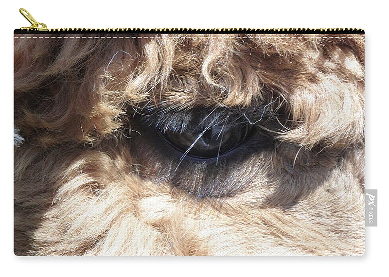 Alpaca Zip Pouch featuring the photograph The Eye of an Alpaca by Kim Galluzzo Wozniak