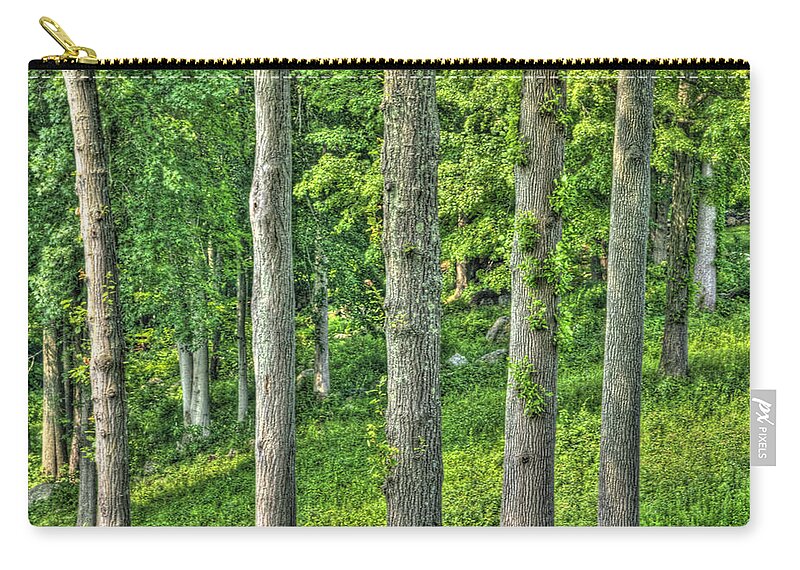 The Forest Through The Trees Zip Pouch featuring the photograph The Forest Through The Trees by Paul Wear
