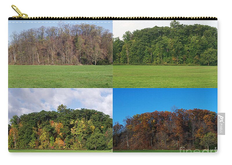 Leaves Zip Pouch featuring the photograph The Four Seasons by Ted Kinsman