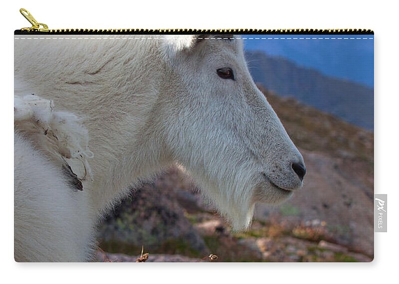 Mountain Goats Zip Pouch featuring the photograph The Gathering Storm by Jim Garrison