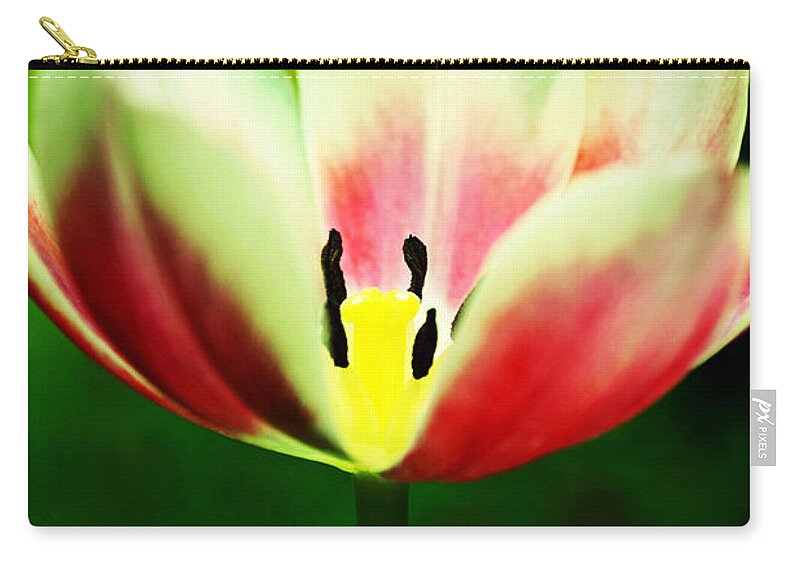 Tulip Zip Pouch featuring the photograph The Gift by Melanie Moraga