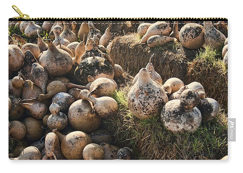 Gourds Zip Pouch featuring the photograph The Gourd Family by Kathy Clark