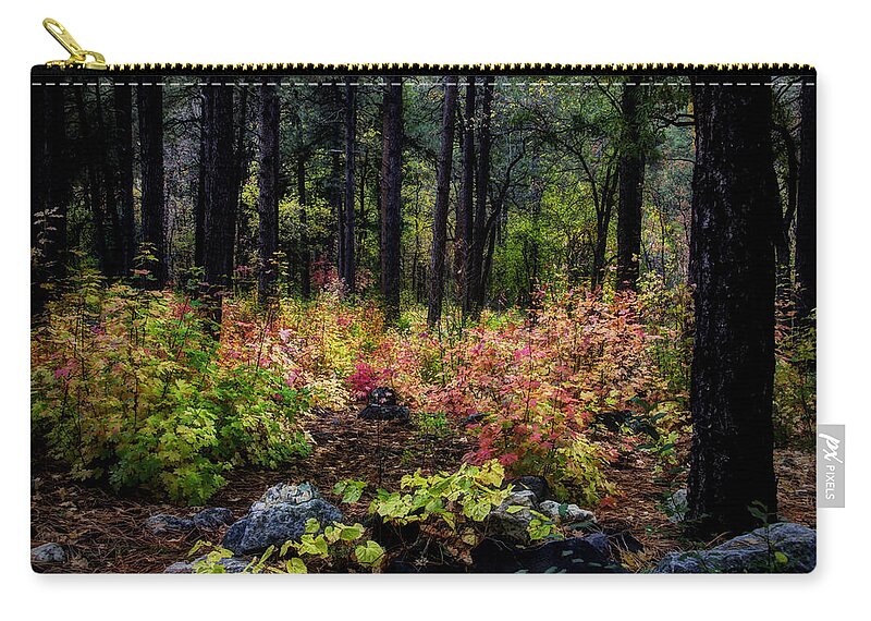 Fall Colors Zip Pouch featuring the photograph The Magic Forest by Saija Lehtonen
