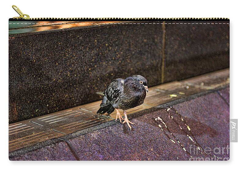Pigeon Zip Pouch featuring the photograph The mighty Pigeon by Paul Ward