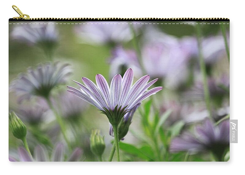 Flowers Zip Pouch featuring the photograph The Only One by Amy Gallagher