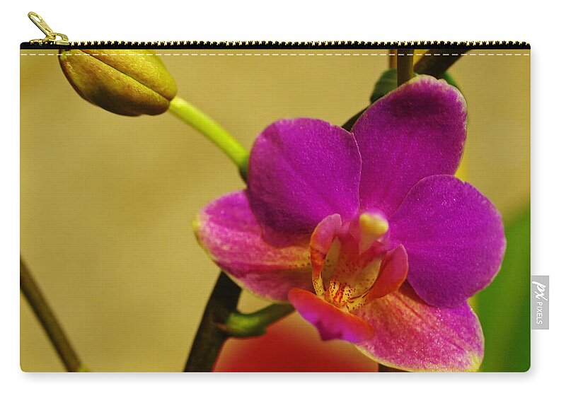 Flower Zip Pouch featuring the photograph The Original Orchid by Teri Schuster