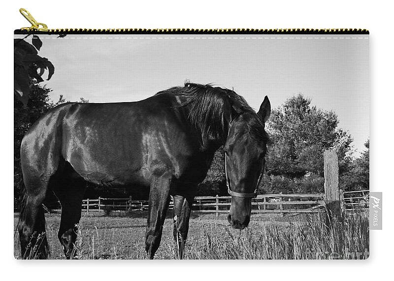 Horse Zip Pouch featuring the photograph The Stallion by Davandra Cribbie