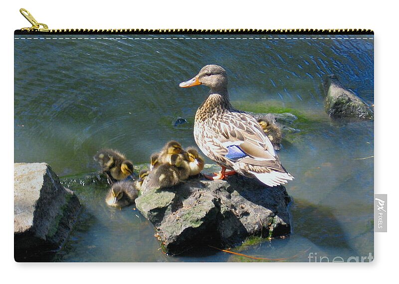 Ducks Zip Pouch featuring the photograph The Swimming Lesson by Rory Siegel