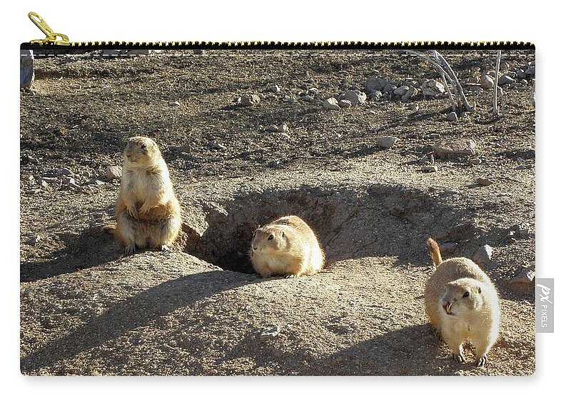 Prarie Carry-all Pouch featuring the photograph The Three Stooges by Kim Galluzzo Wozniak