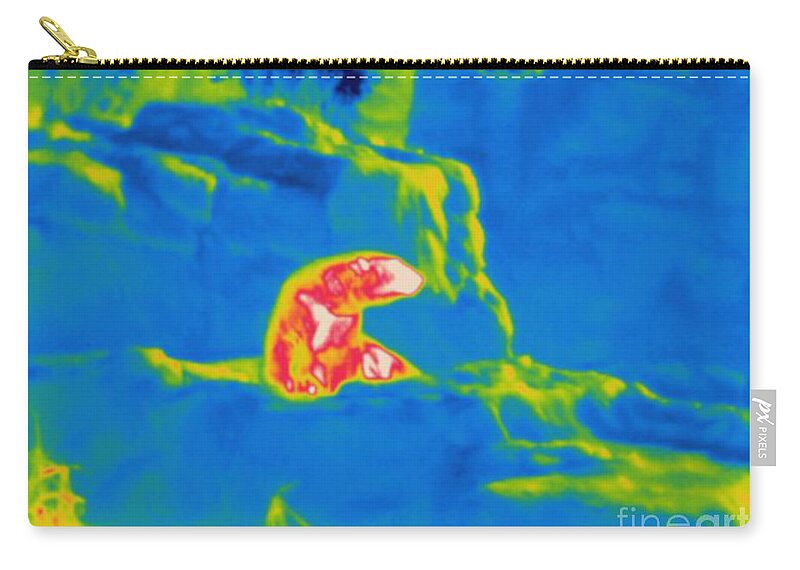 Thermogram Zip Pouch featuring the photograph Thermogram Of A Polar Bear by Ted Kinsman
