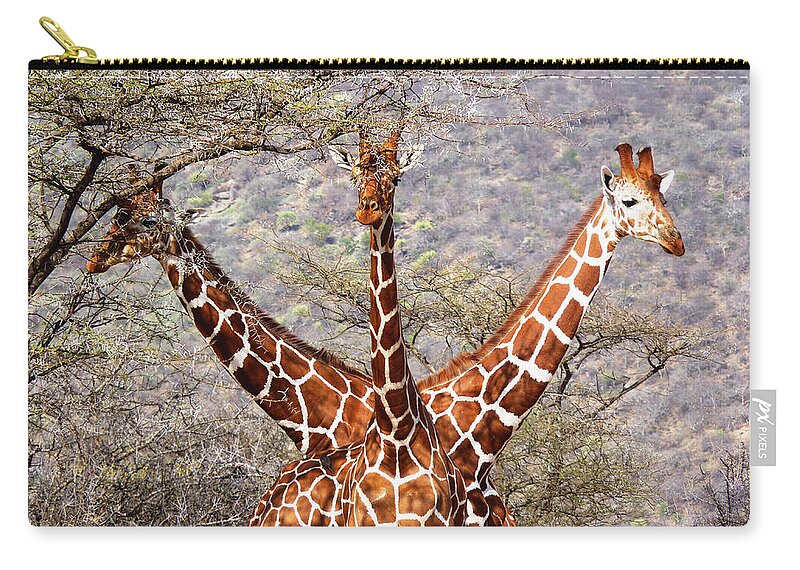 Kenya Zip Pouch featuring the photograph Three headed giraffe by Tony Murtagh