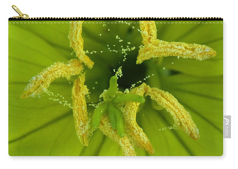 Oenothera Triloba Zip Pouch featuring the photograph Three Lobed Evening Primrose by Daniel Reed