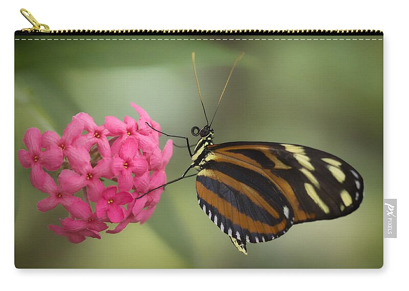 Butterfly Zip Pouch featuring the photograph Tiger Longwing on Flower by Bill and Linda Tiepelman