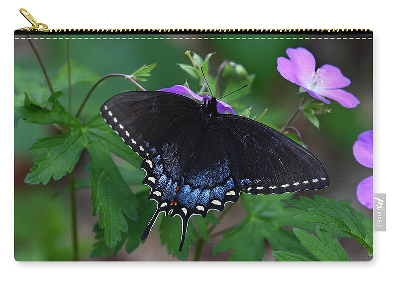 Butterfly Zip Pouch featuring the photograph Tiger Swallowtail Female Dark Form On Wild Geranium by Daniel Reed