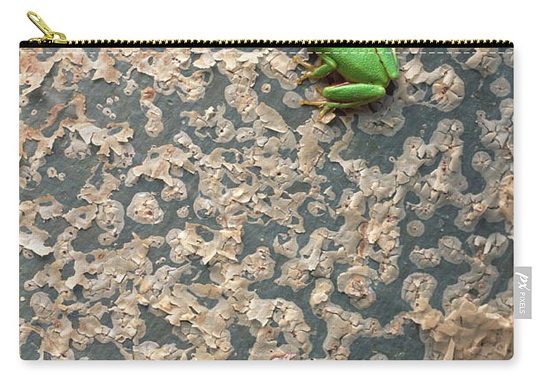 Mp Zip Pouch featuring the photograph Tinker Reed Frog Hyperolius by Gerry Ellis