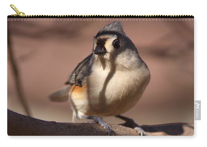 Tufted Titmouse Zip Pouch featuring the photograph Titmouse - Split by Shadows by Travis Truelove