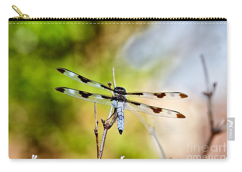 Twelve Spot Skimmer Dragonfly Zip Pouch featuring the photograph Twelve-spotted Skimmer Dragonfly 4 by Betty LaRue