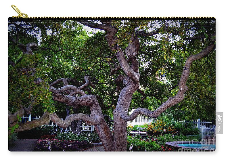Tree Zip Pouch featuring the photograph Twisted Tree by Kevin Fortier