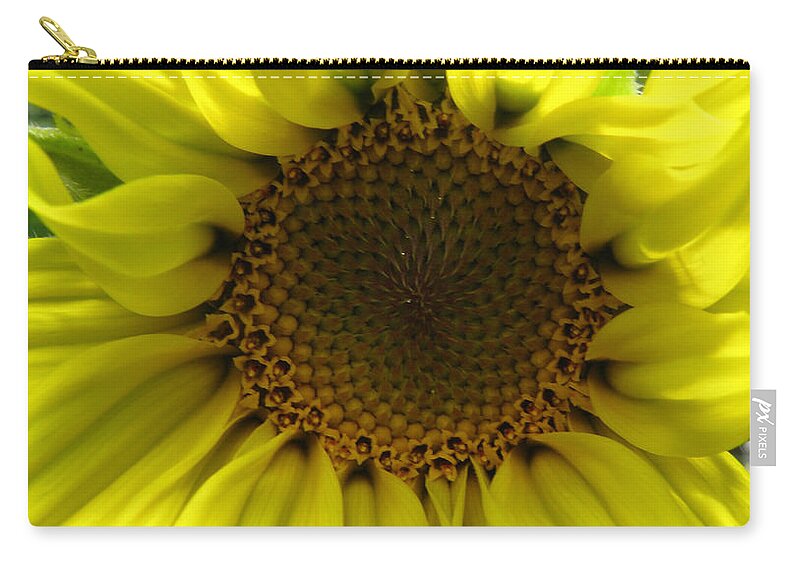 Flower Zip Pouch featuring the photograph Twists N Turns Of Beauty by Kim Galluzzo