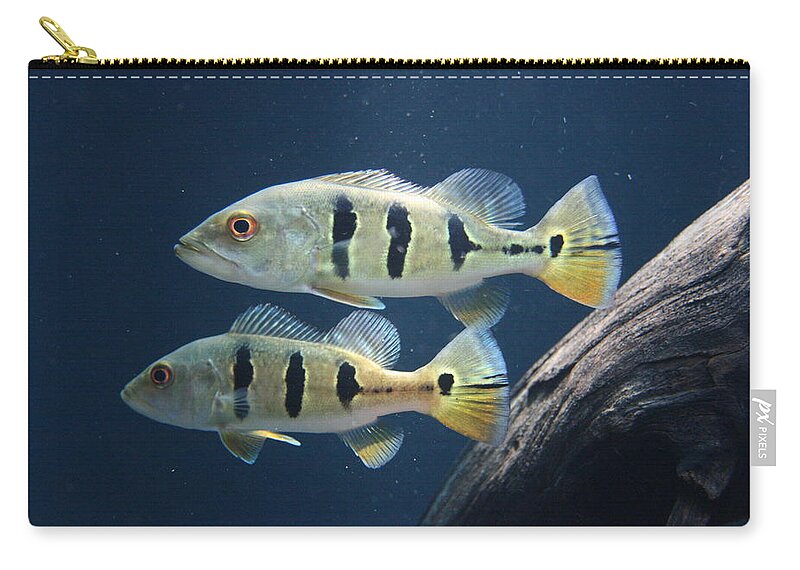 Jennifer Bright Art Zip Pouch featuring the photograph Two Fish Not Blue Fish by Jennifer Bright Burr