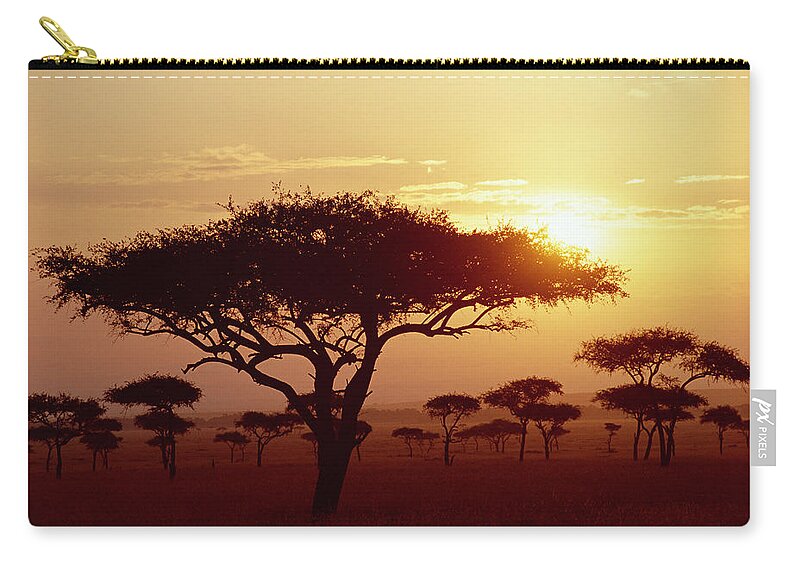 Mp Carry-all Pouch featuring the photograph Umbrella Thorn Acacia Tortilis Trees by Gerry Ellis