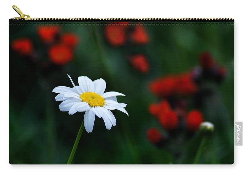 Daisy Zip Pouch featuring the photograph Unassuming Charm by Bill Pevlor