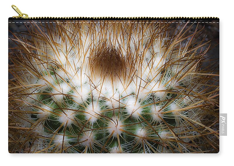 Cactus Zip Pouch featuring the photograph Untitled 3 by Lee Santa