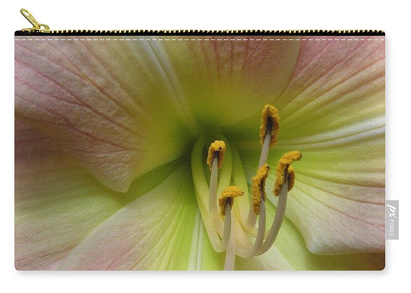Lily Carry-all Pouch featuring the photograph Up Close And Personal Beauty by Kim Galluzzo Wozniak
