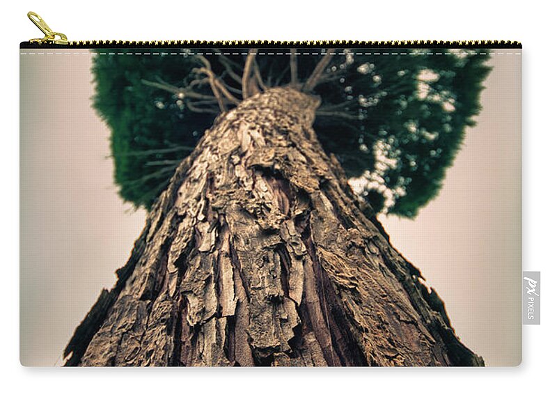 Tree Carry-all Pouch featuring the photograph Up From The Depths by Evelina Kremsdorf