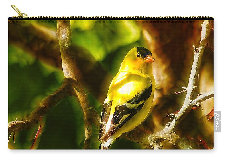 Bird Zip Pouch featuring the photograph Visions of a Male Goldfinch by Bill and Linda Tiepelman