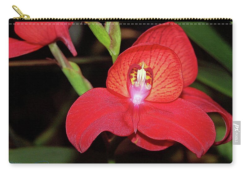 Orchid Zip Pouch featuring the photograph Vivid by S Paul Sahm