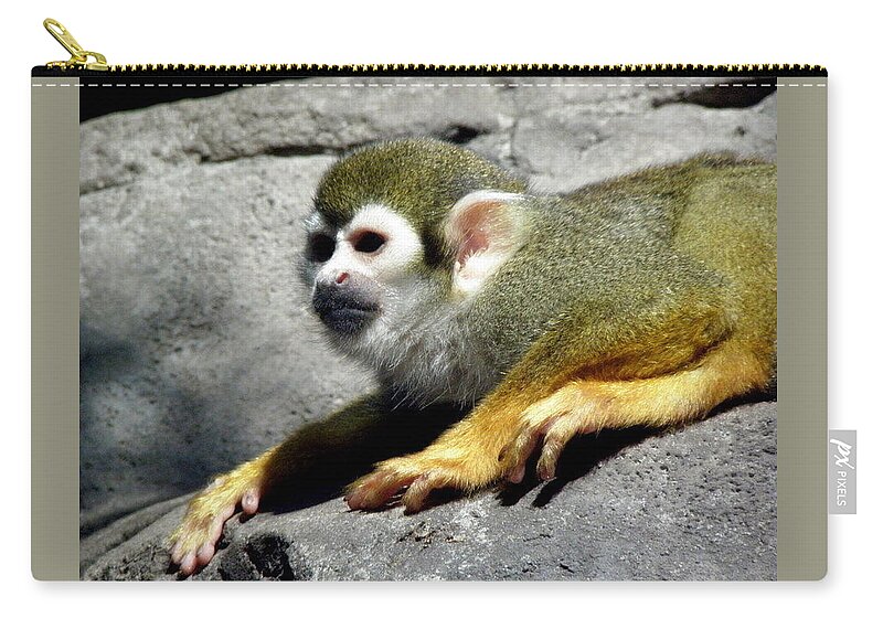 Monkey Zip Pouch featuring the photograph Watching Over by Kim Galluzzo Wozniak