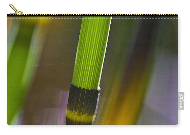 Nature Zip Pouch featuring the photograph Water Horsetail Detail by Heiko Koehrer-Wagner