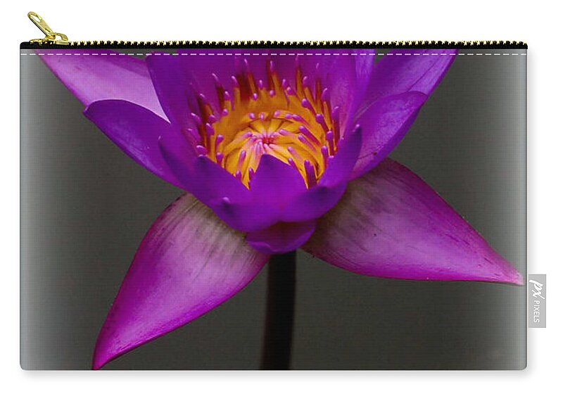 Water Zip Pouch featuring the photograph Water Lily by Farol Tomson
