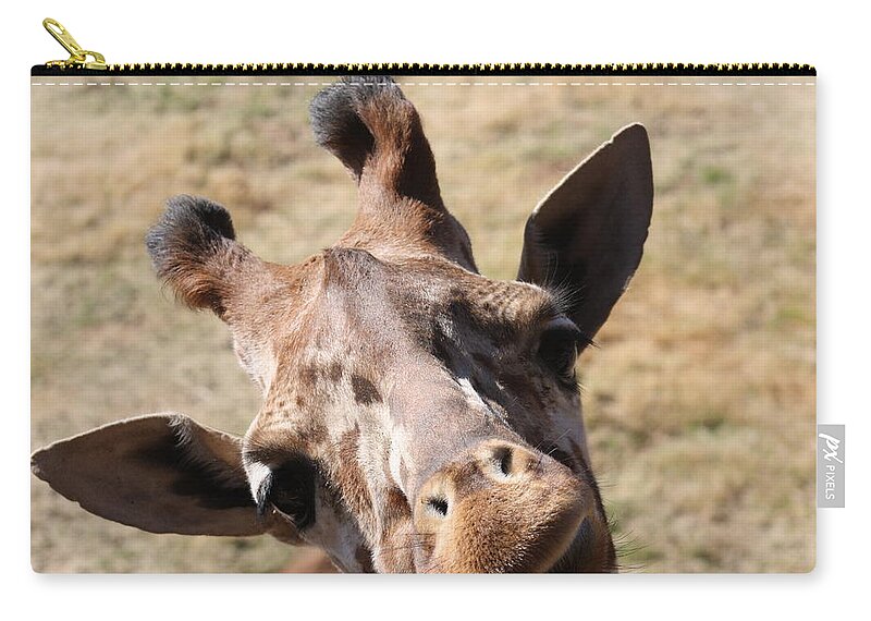 Giraffe Zip Pouch featuring the photograph What A Face by Kim Galluzzo