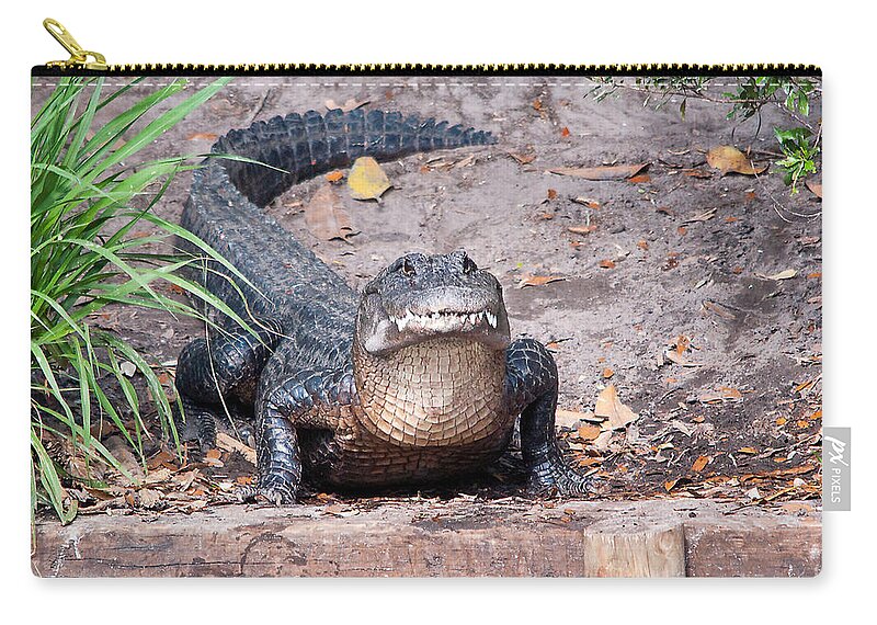 Alligator Zip Pouch featuring the photograph What Are YOU Looking At by Kenneth Albin