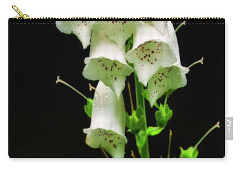 Wildflowers Zip Pouch featuring the photograph White Foxglove by Albert Seger