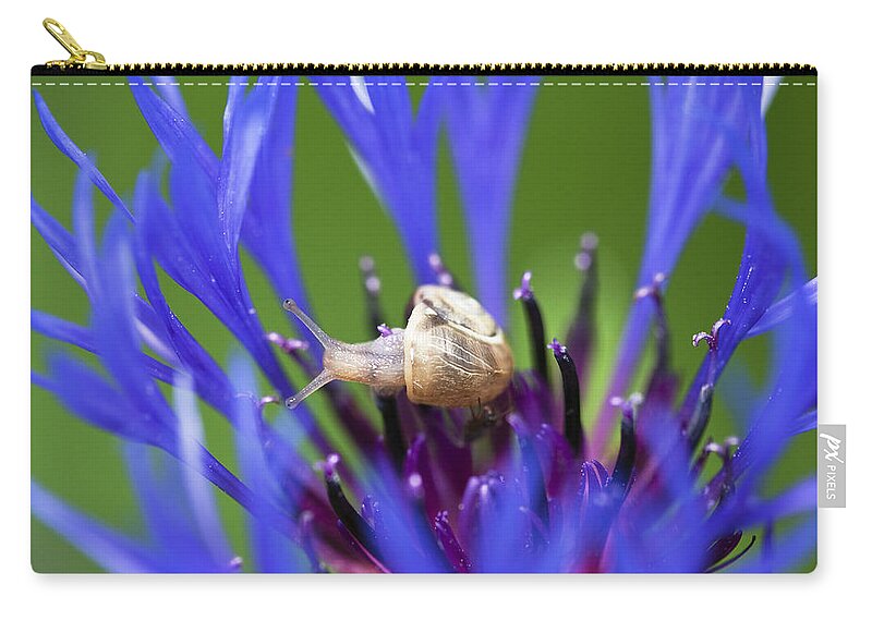 Mp Carry-all Pouch featuring the photograph White-lipped Grove Snail Cepaea by Konrad Wothe