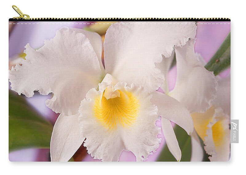 White Flower Zip Pouch featuring the photograph White Orchid by Mike McGlothlen