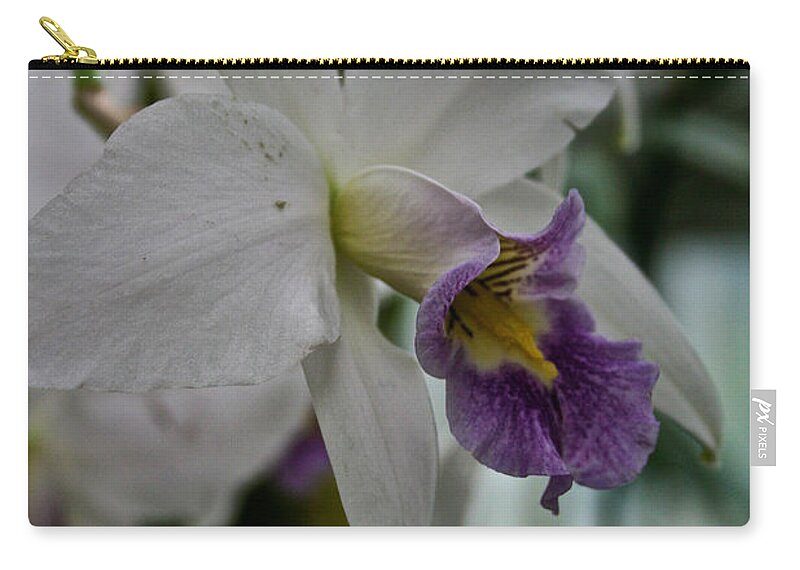 White Orchid Zip Pouch featuring the photograph White Orchid by Susan Herber