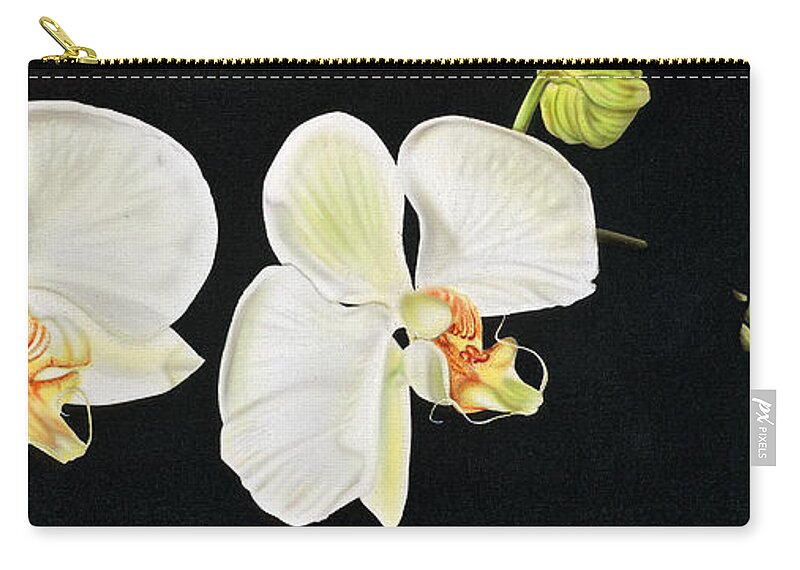 Orchids/white Orchids/flowers/canvas Paintings Zip Pouch featuring the painting White Orchids by Dan Menta
