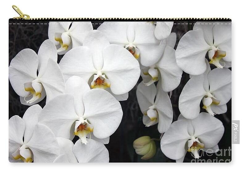 White Zip Pouch featuring the photograph White Orchids by Debbie Hart