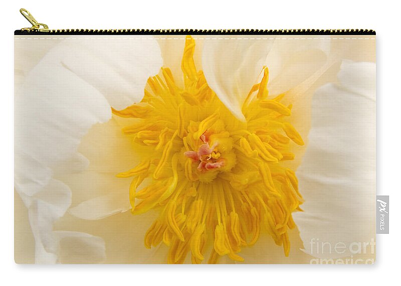 Peony Zip Pouch featuring the photograph White Peony - Golden Centre by Ann Garrett
