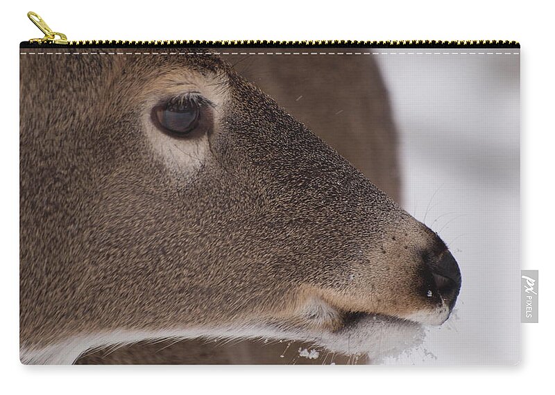 Deer Zip Pouch featuring the photograph White Tail Close Up by Joshua House
