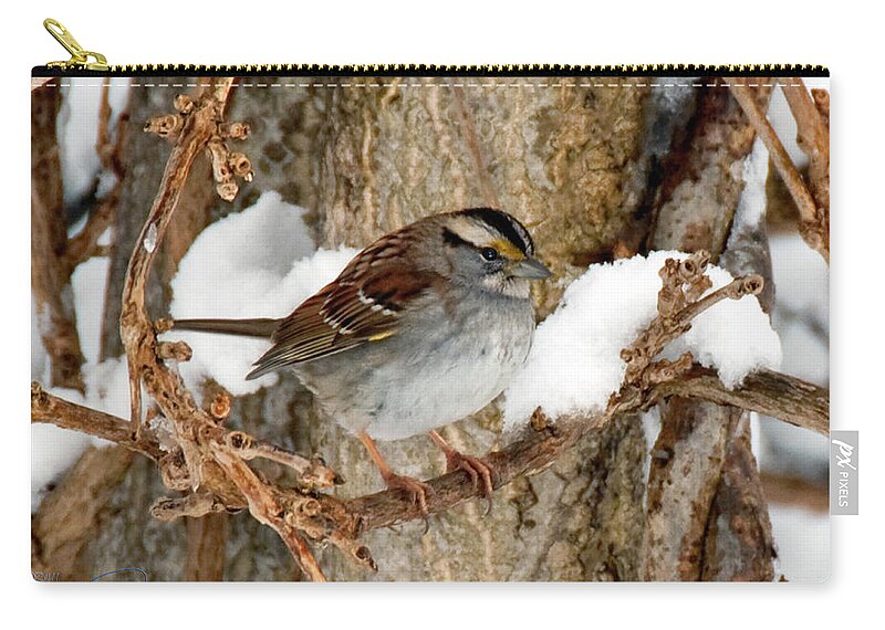 White Throated Sparrow Zip Pouch featuring the photograph White Throat by S Paul Sahm
