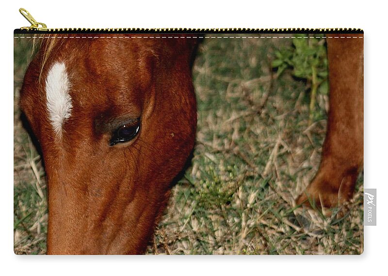 Wild Spanish Mustang Zip Pouch featuring the photograph Wild Filly Grazing at Night by Kim Galluzzo