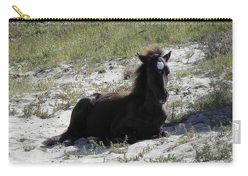 Wild Zip Pouch featuring the photograph Wild Foal by Kim Galluzzo Wozniak