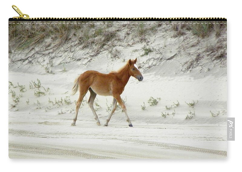 Foal Zip Pouch featuring the photograph Wild Spanish Mustang Foal of the Outer Banks of North Carolina by Kim Galluzzo