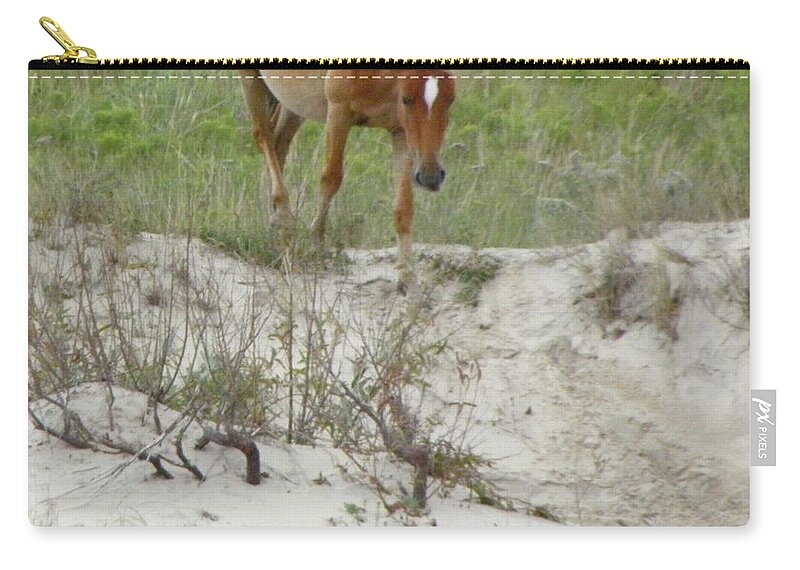 Mustang Zip Pouch featuring the photograph Wild Spanish Mustang of the Outer Banks of North Carolina by Kim Galluzzo