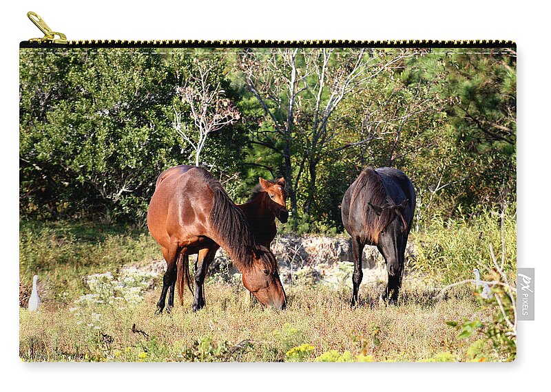 Wild Spanish Mustang Zip Pouch featuring the photograph Wild Spanish Mustangs Corolla North Carolina by Kim Galluzzo